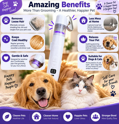 Two-in-one Electric Pet Hair Removal